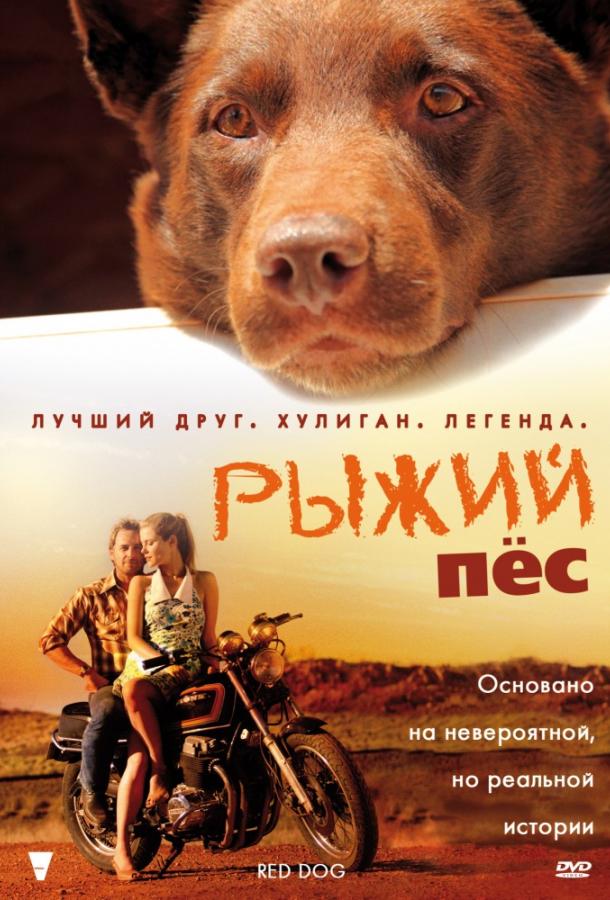 Фильм Рыжий пес (2011) смотреть онлайн